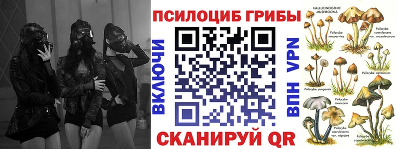 Псилоцибиновые грибы мухоморы  Северобайкальск 